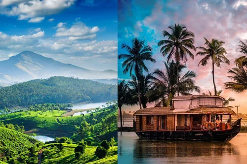 Domestic Tour Operators